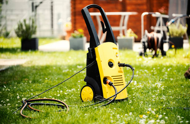 Best Animal Enclosure Cleaning  in Iowa Colony, TX